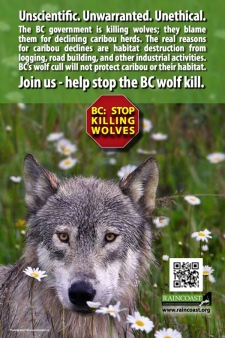 Raincoast Conservation Foundation wolf cull ad