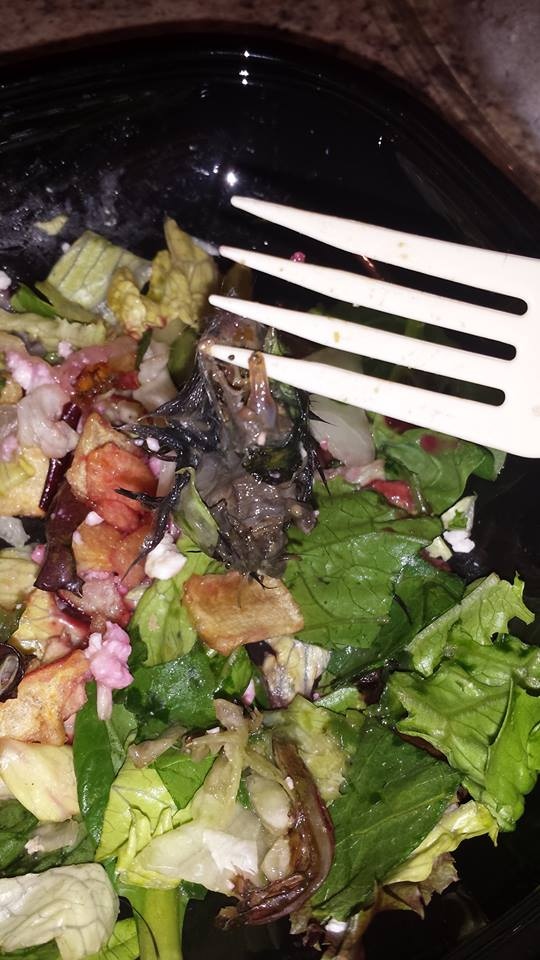 Mouse found in salad