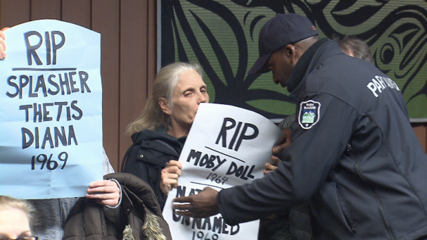 Anti-captivity protesters crash Vancouver Park Board meeting - CTV News