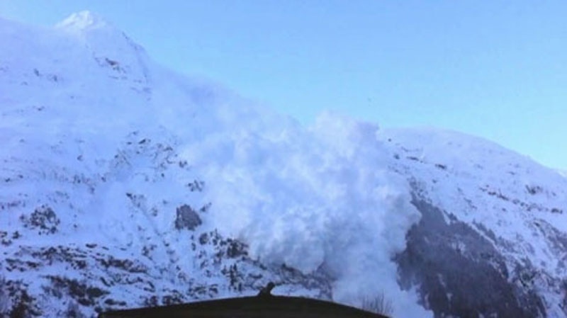 This file photo shows an avalanche rolling down a B.C. mountainside.