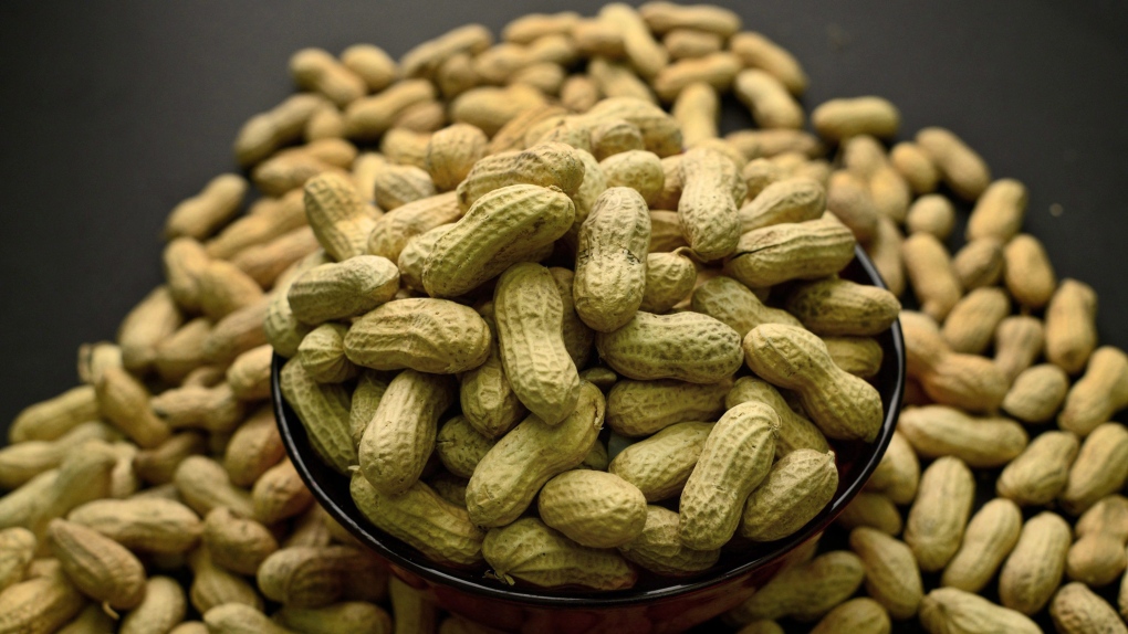 Research out of the University of British Columbia is giving more insight into a treatment designed to help young children overcome peanut allergies. (AP Photo/Patrick Sison)
