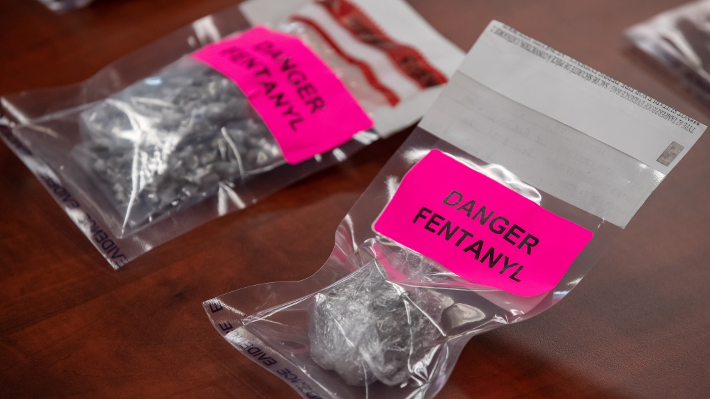 Evidence bags containing fentanyl are displayed during a news conference at Surrey RCMP Headquarters, in Surrey, B.C,, on Thursday, Sept. 3, 2020. (Darryl Dyck / THE CANADIAN PRESS)