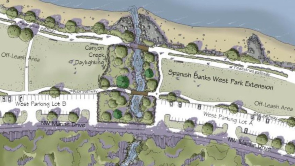 A drawing, included in a report to the Vancouver Park Board, shows what the restoration of Canyon Creek at Spanish Banks Beach Park could look like. (Vancouver Park Board)