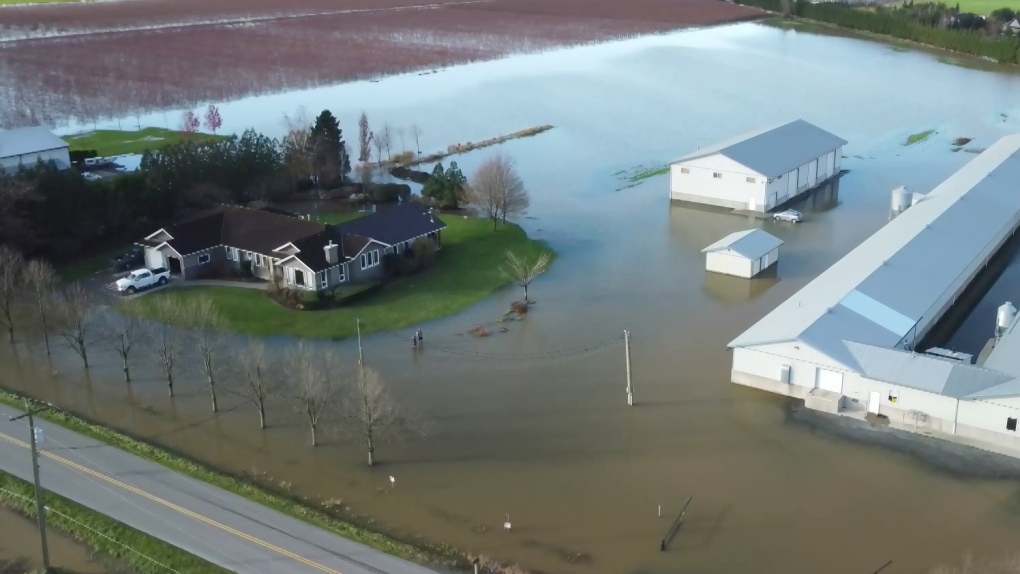 This drone video shot in Abbotsford, B.C., shows the extent of flooding at a farm.