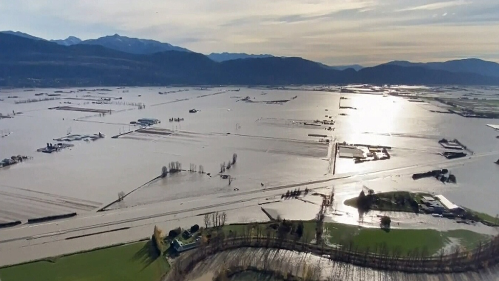 The City of Abbotsford has said several homes need to be destroyed to shore up a levy and prevent more water from pouring into the area.