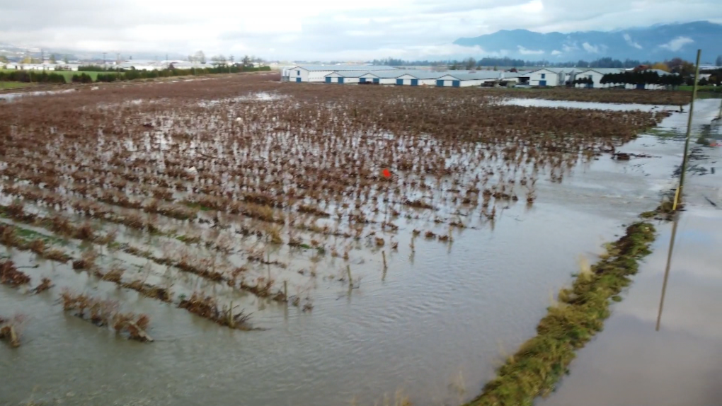 Flooding in Sumas Prairie is seen on Nov. 29, 2021, as farmers grapple with more water flowing in from Washington state. 