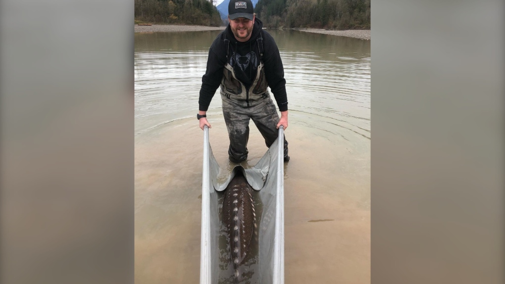 A pair of fishing guides are being credited for their work saving an endangered sturgeon trapped by the catastrophic floodwaters in B.C.'s Fraser Valley (Fraser Valley Angling Guides Association).