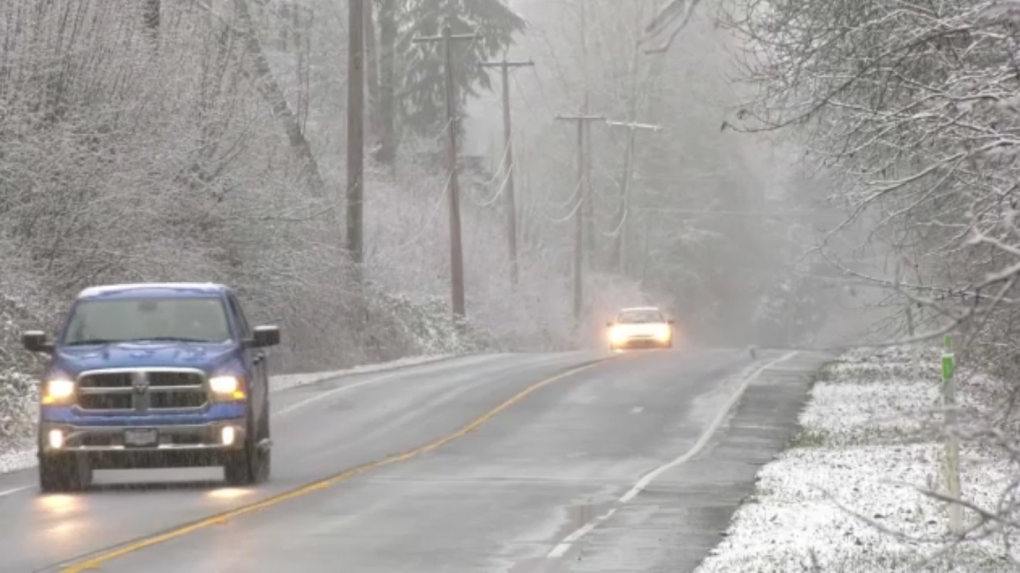 Parts of the Fraser Valley saw several centimetres of snow on Saturday, and Environment and Climate Change Canada says more is on the way Sunday night. (CTV)