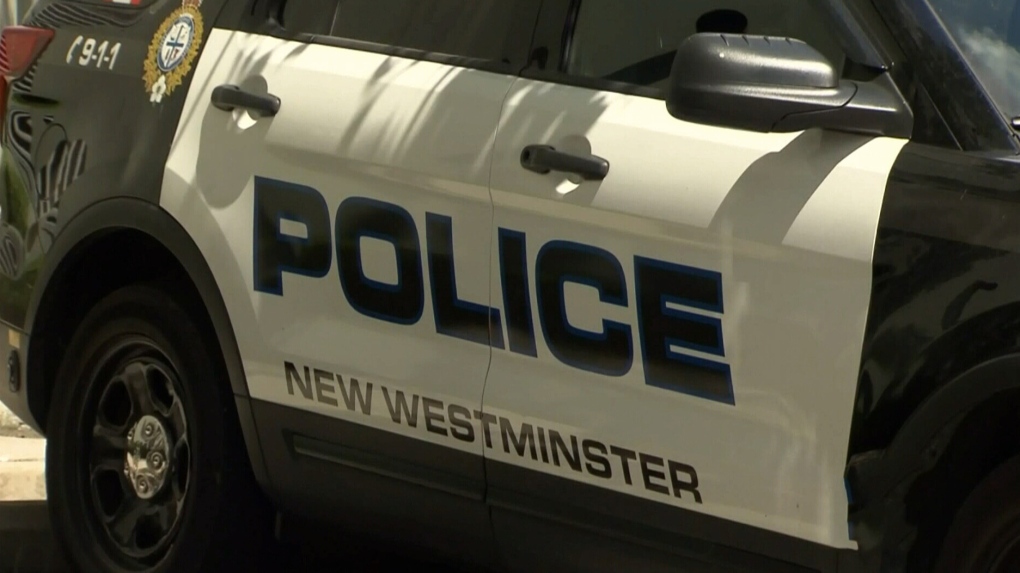 New Westminster crime: Suspected child luring prompts appeal for video ...