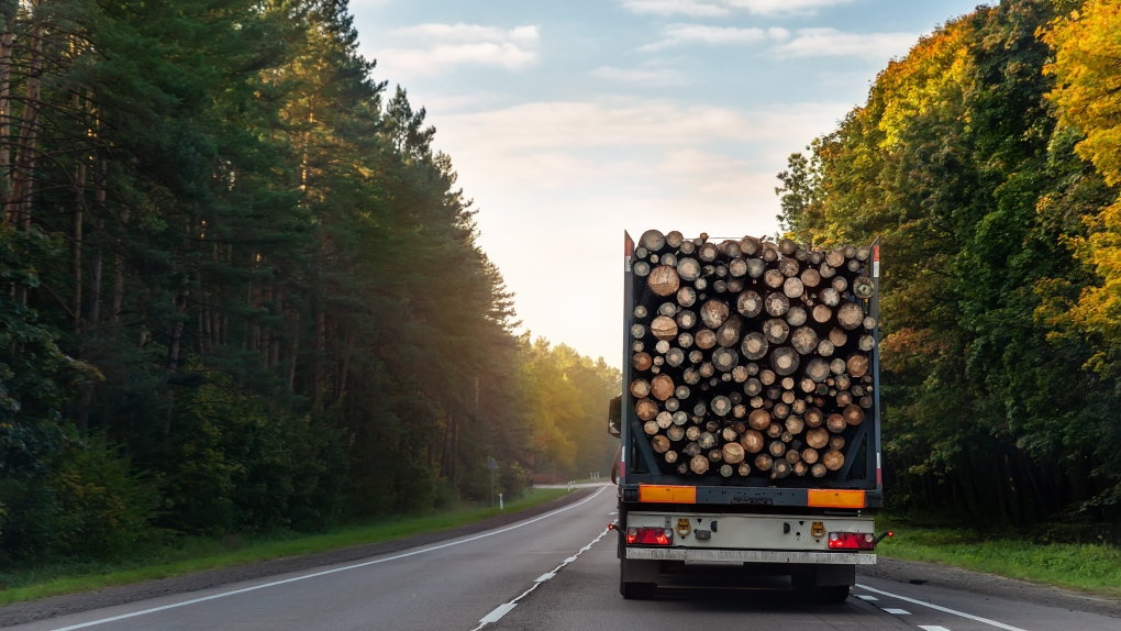 A logging truck is seen in a file image from shutterstock.com.