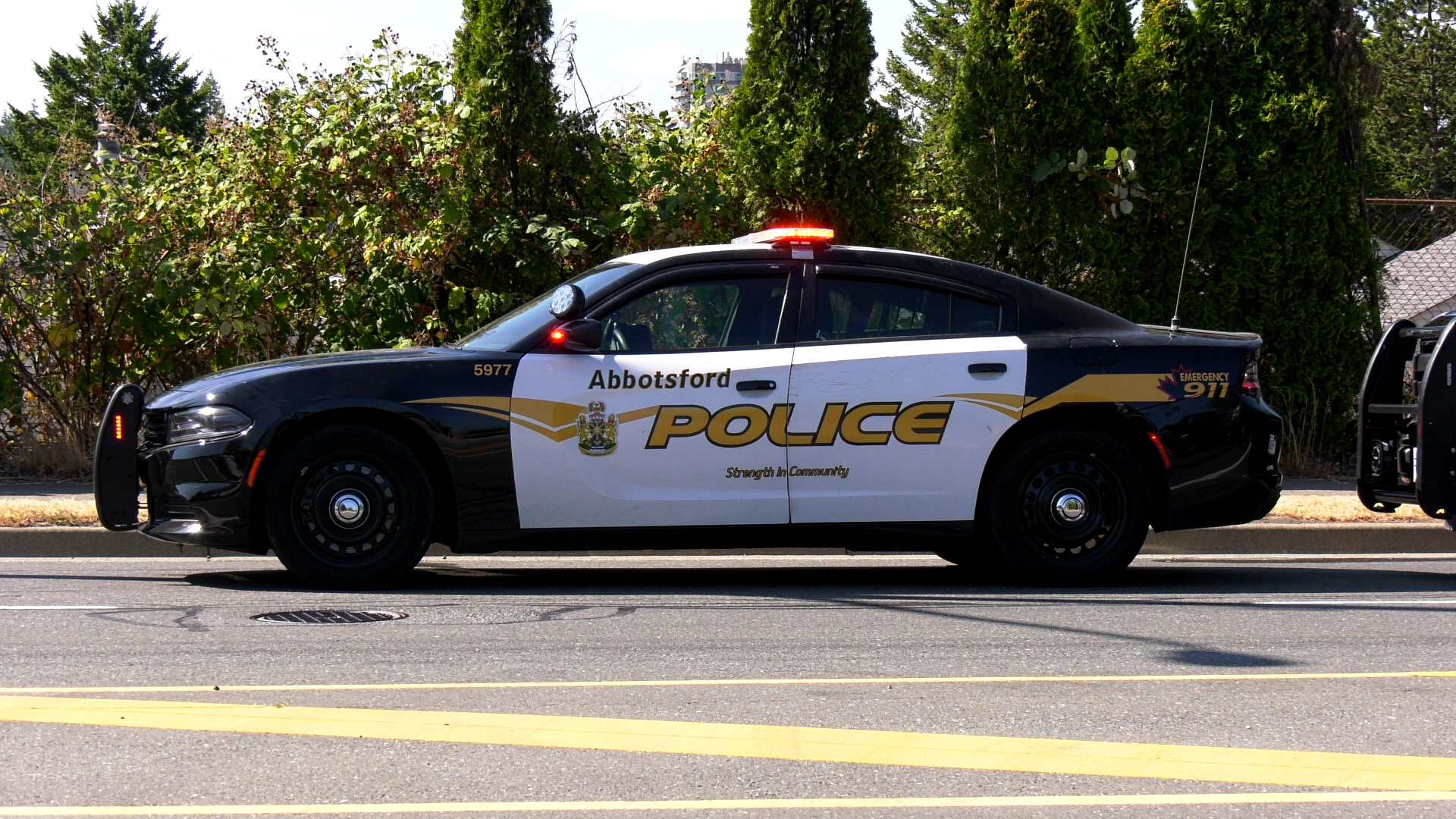 An Abbotsford Police Department cruiser is shown in July 2021. (Jordan Jiang / CTV News Vancouver)