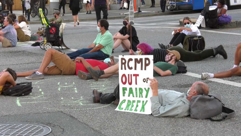 Fairy Creek protest in Vancouver
