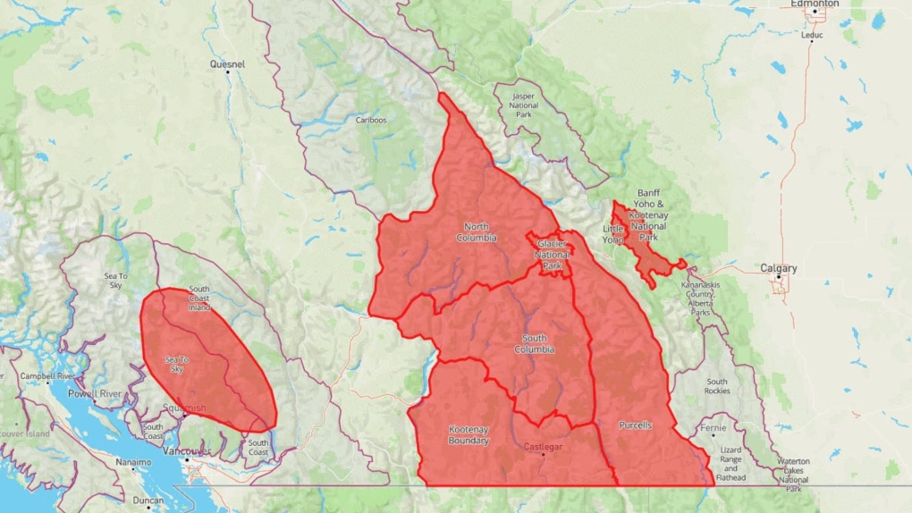 A special avalanche warning has been posted for recreational backcountry users in several regions of B.C. and Alberta as warm temperatures make the snowpack unstable. (Avalanche Canada)