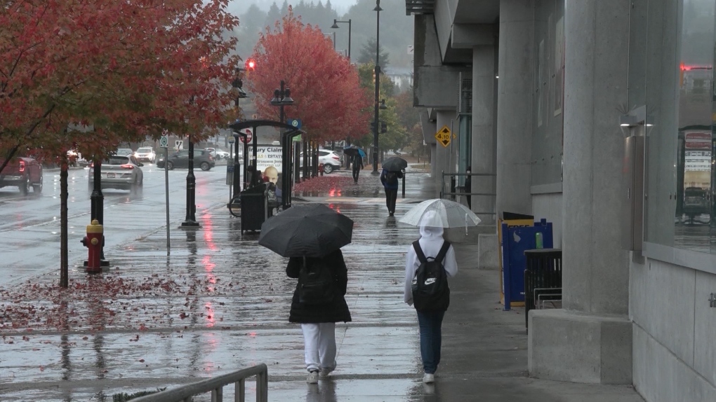 Metro Vancouver hit by wind, rain storm