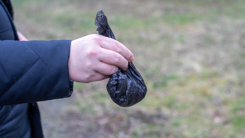 This stock photo shows a man's hand holding a bag of dog waste. (Credit: Shutterstock) 