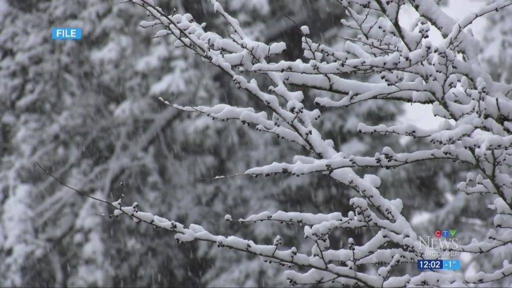 Snowfall Warnings Issued In Metro Vancouver