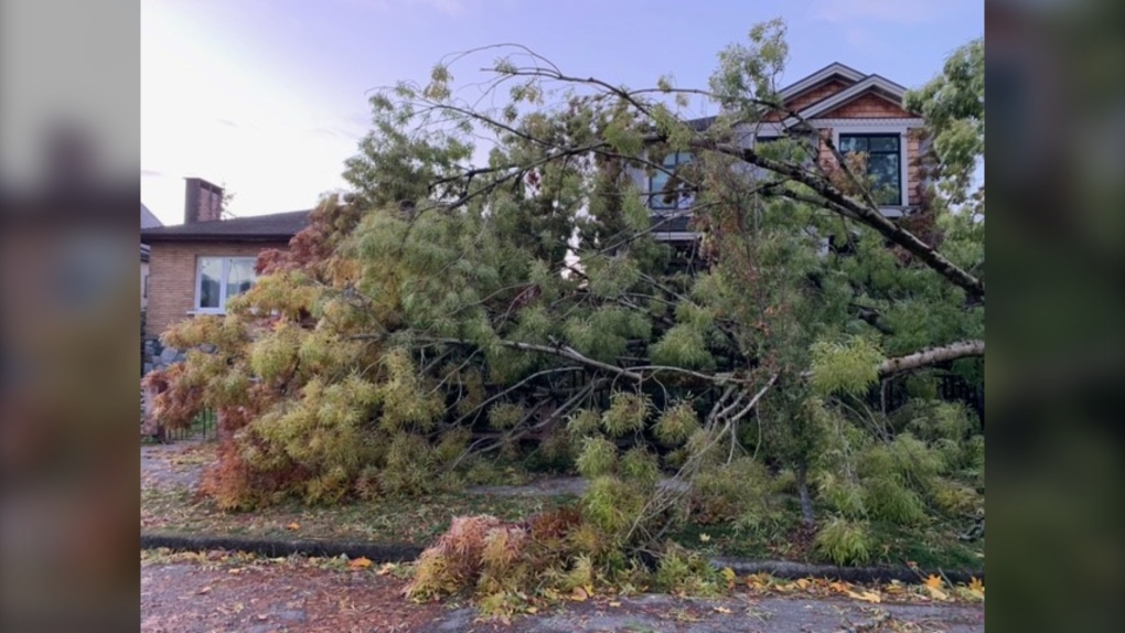 Strong winds, heavy rain knock out power to hundreds of thousands in B.C.