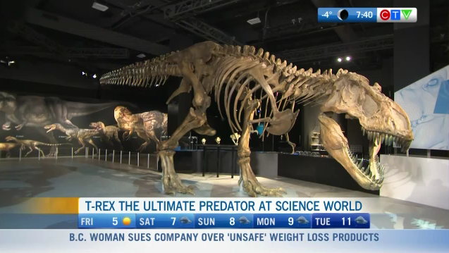 https://bc.ctvnews.ca/content/dam/ctvnews/en/images/2022/2/25/-t-rex--the-ultimate-predator--at-science-world-1-5796306.png