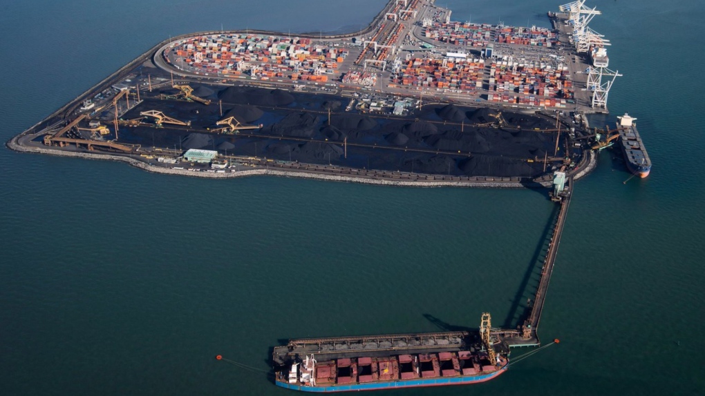 Ships are loaded with coal at terminals in Delta, B.C., on Wednesday Feb. 19, 2014, as seen from a National Aerial Surveillance Program flight. The plan to build a new shipping container terminal the size of nearly 144 football fields at a major Metro Vancouver port has sparked a rival proposal along with concerns for endangered orcas and the salmon species they depend on. THE CANADIAN PRESS/Darryl Dyck
