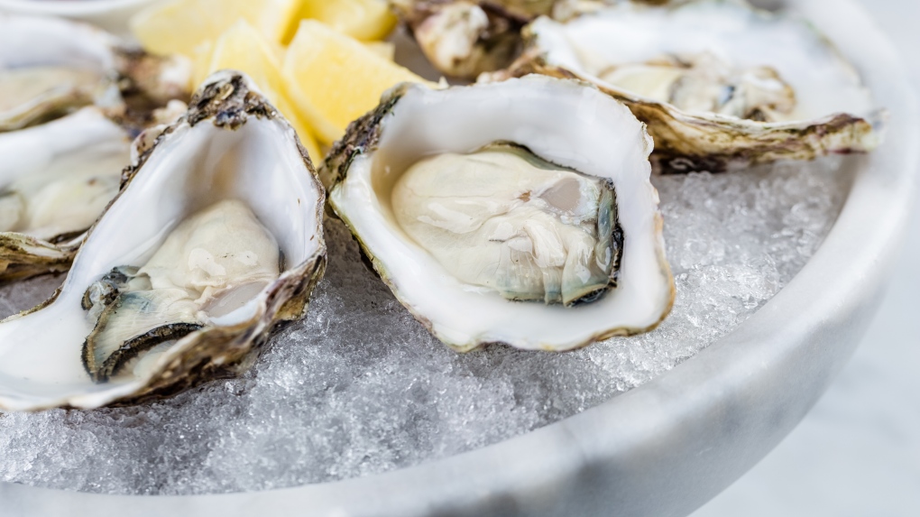 A platter of oysters is seen in this undated image. (Shutterstock)