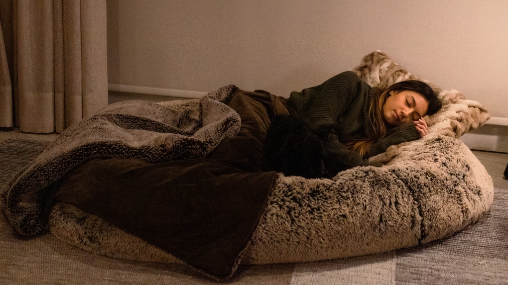 A pair of students at a B.C. university are combining their shared passion for entrepreneurship and napping by developing a dog bed that is designed specifically for humans.