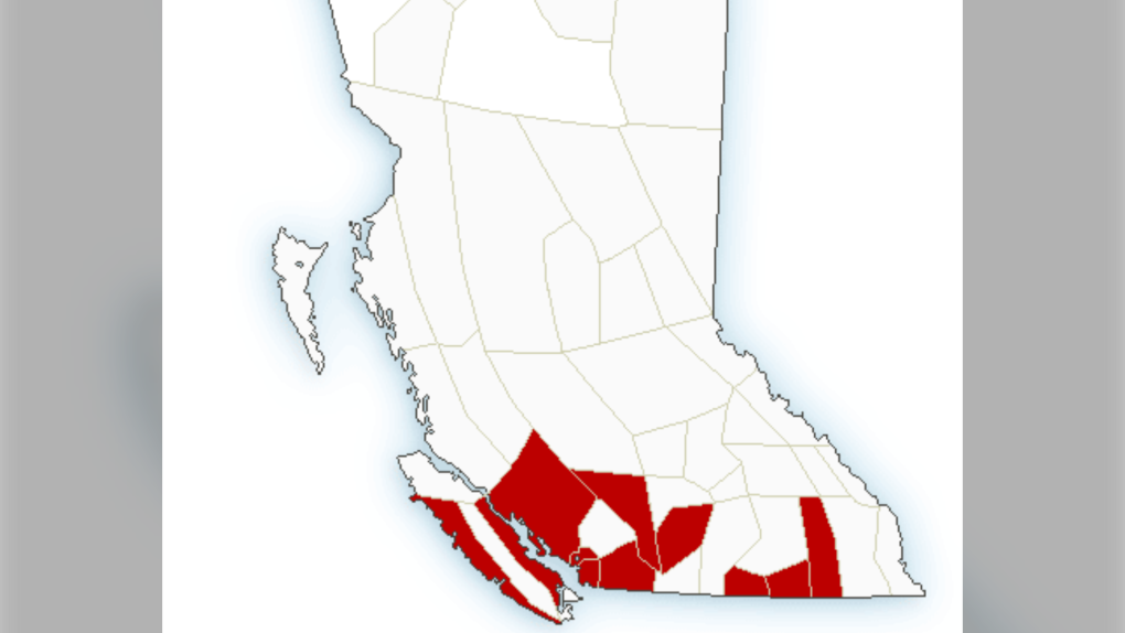 Severe thunderstorm watch issued for handful of regions in B.C.'s