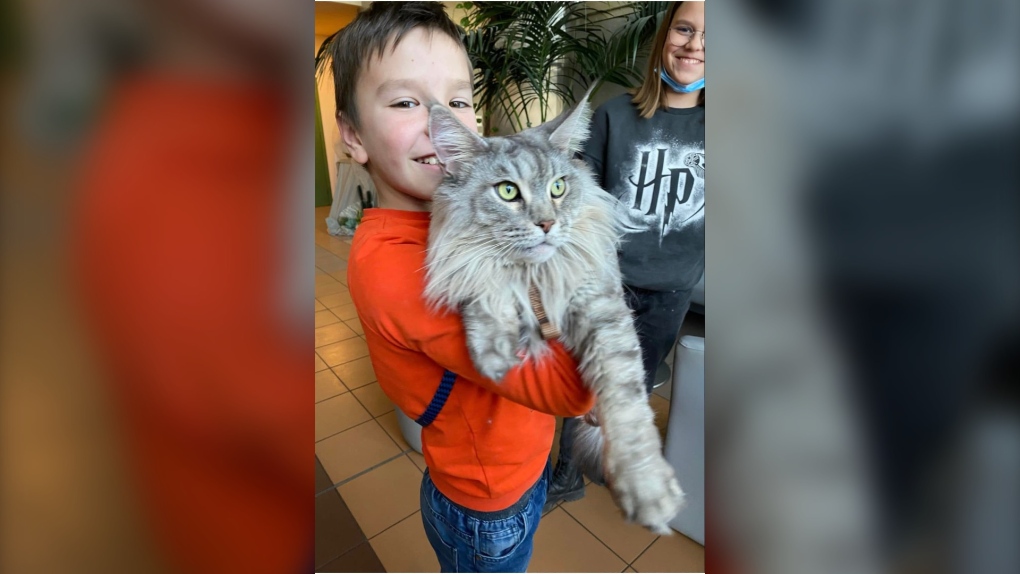 This photo provided by the BC Animal Food Bank shows a boy who recently fled Ukraine holding his cat.
