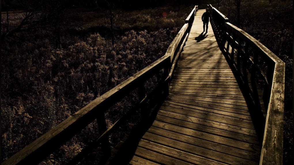 A person is silhouetted as they walk across a bridge at the Rattray Marsh in Mississauga, Ont., Thursday, Nov. 10, 2016. Marshes edged by tall grasses and wildflowers that are home to birds, crabs, tiny fish and other wildlife are more effective than young coastal forests at capturing and storing carbon dioxide, says a study. THE CANADIAN PRESS/Nathan Denette