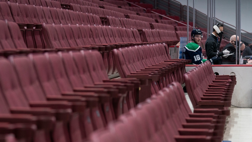 fan falls into penalty box