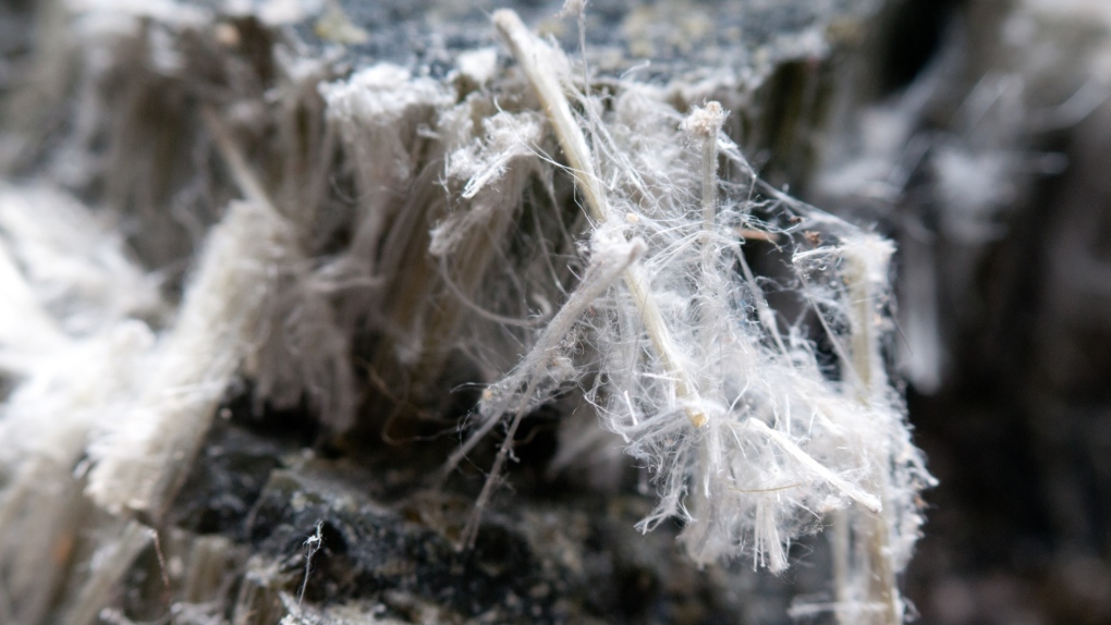 Asbestos is shown. (Shutterstock.com)