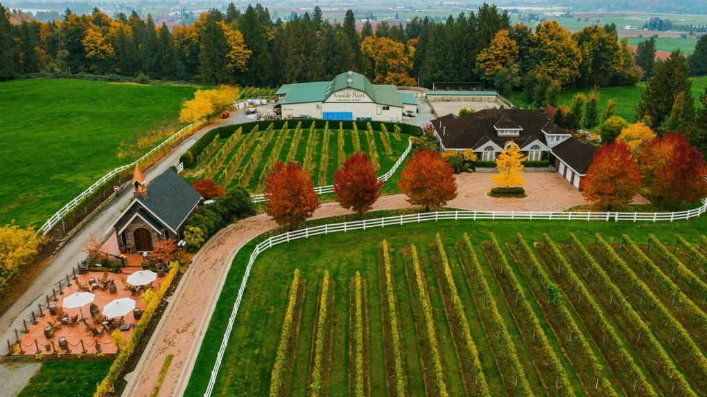 The property at 5290 Olund Rd. features a winery and equestrian facilities. (Image Credit: Sotheby's International Realty) 