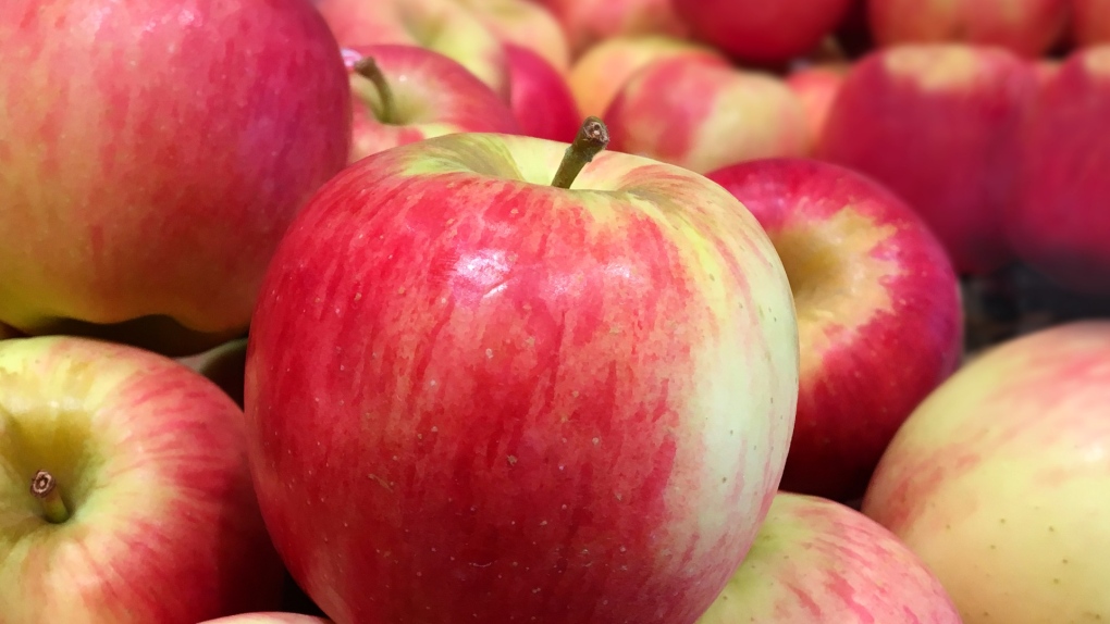 Organic Honeycrisp Apple Trio, 3 count, From Our Farmers