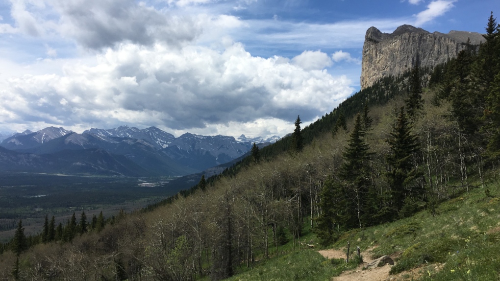 The hiking trail on Yamnuska in Alberta's Bow Valley Wildland Provincial Park, part of Kananaskis Country, is shown in June 2017.THE CANADIAN PRESS/Colette Derworiz