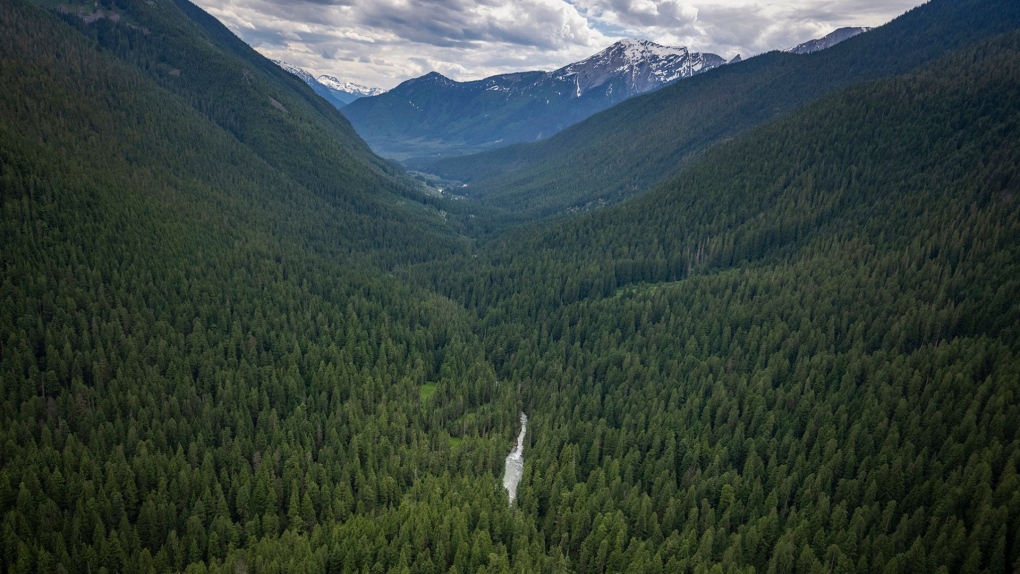 The Incomappleux Valley east of Revelstoke, B.C., is seen in this photo by Paul Zizka provided by the Nature Conservancy of Canada.