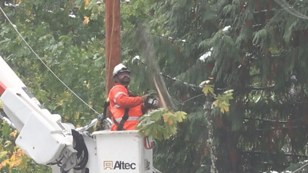 Thousands Without Power After B.C. Windstorm