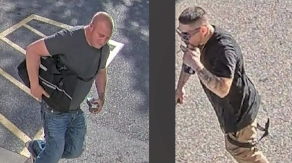 Surrey Stabbing Suspects Sought