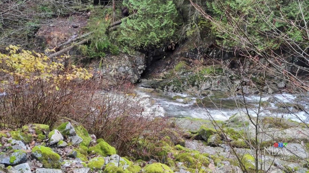 Heavy Rain To Hit Southern B.C.