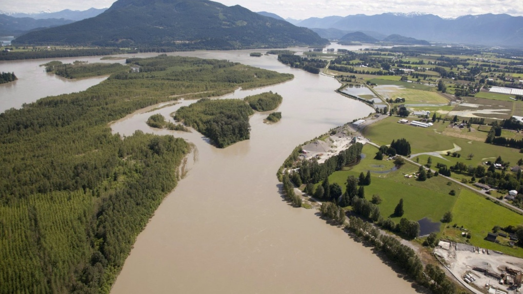 The swollen Fraser River is seen from the air near Chilliwack, B.C. Thursday, June 28, 2012. THE CANADIAN PRESS/Jonathan Hayward