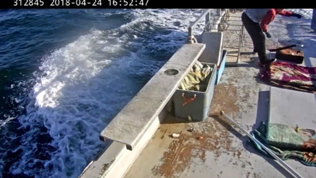 According to the DFO, this image presented as evidence in the case of Truc Hoang Le shows a deckhand baiting hooks for a long line. The vessel was only licensed to fish crab by trap or pot. (Fisheries and Oceans Canada)