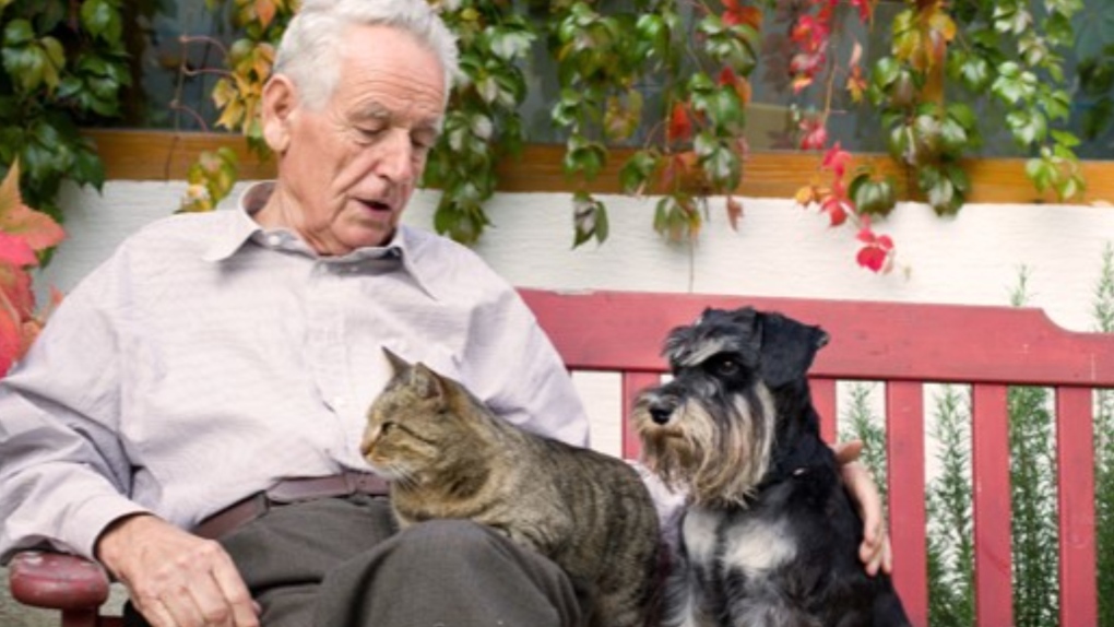 A man is pictured sitting on a bench with a cat and dog. (Paws for Hope Animal Foundation)