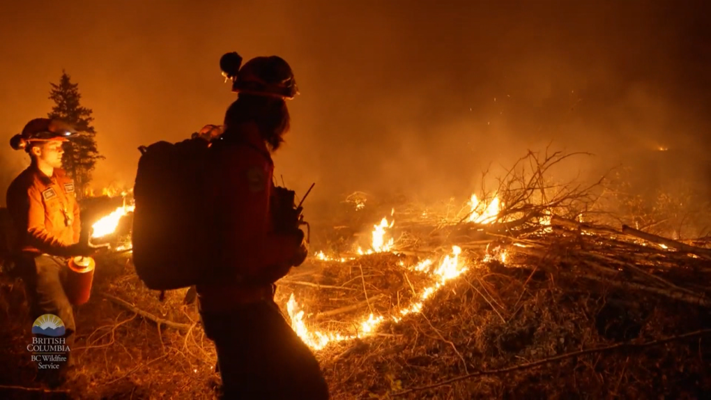Fire fighters across B.C.'s coast battled seven wildfires over the weekend, including one in Lions Bay that broke out on June 4, 2023. (BC WIldfire Service)