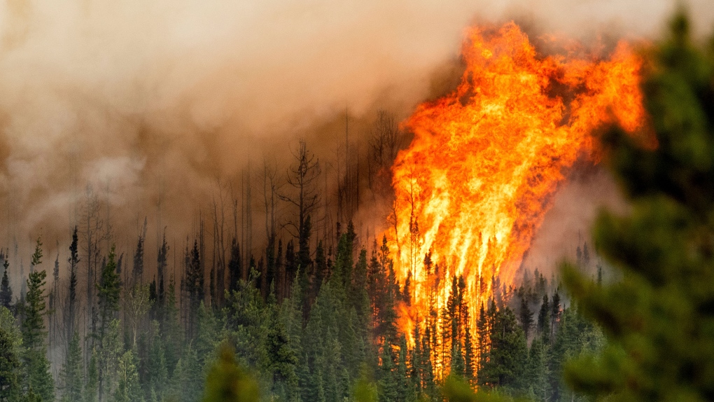 Safety Steps: Wildfires, Power Outages Plague Western States