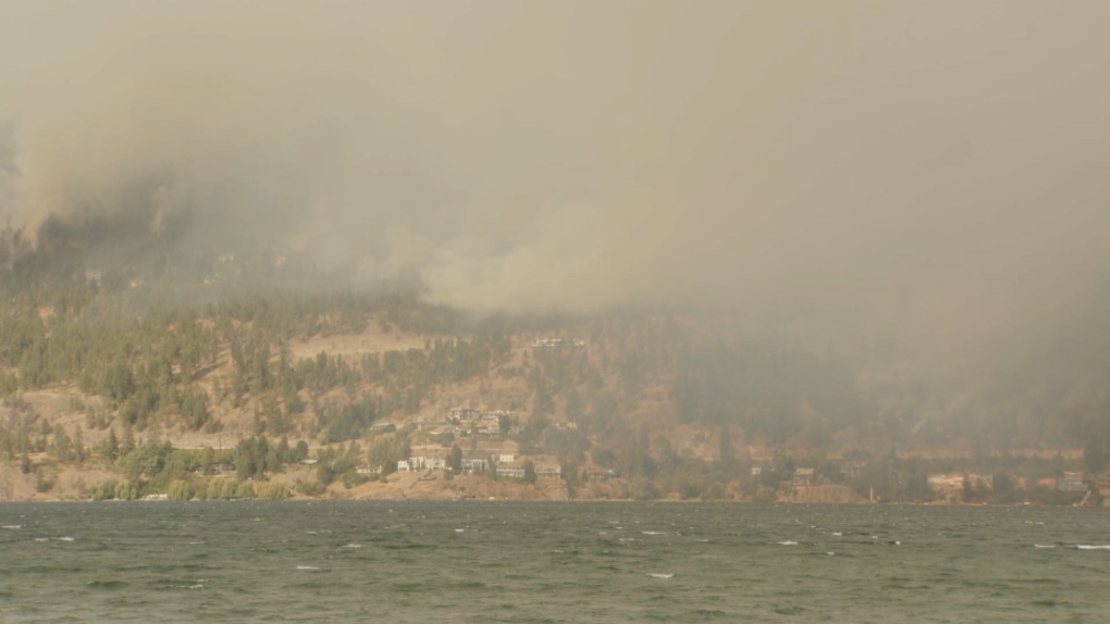 Numerous homes have been destroyed by the McDougall Creek wildfire in West Kelowna, B.C.