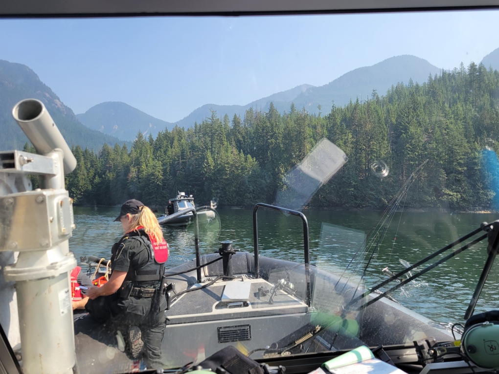 salmon run Indian Arm