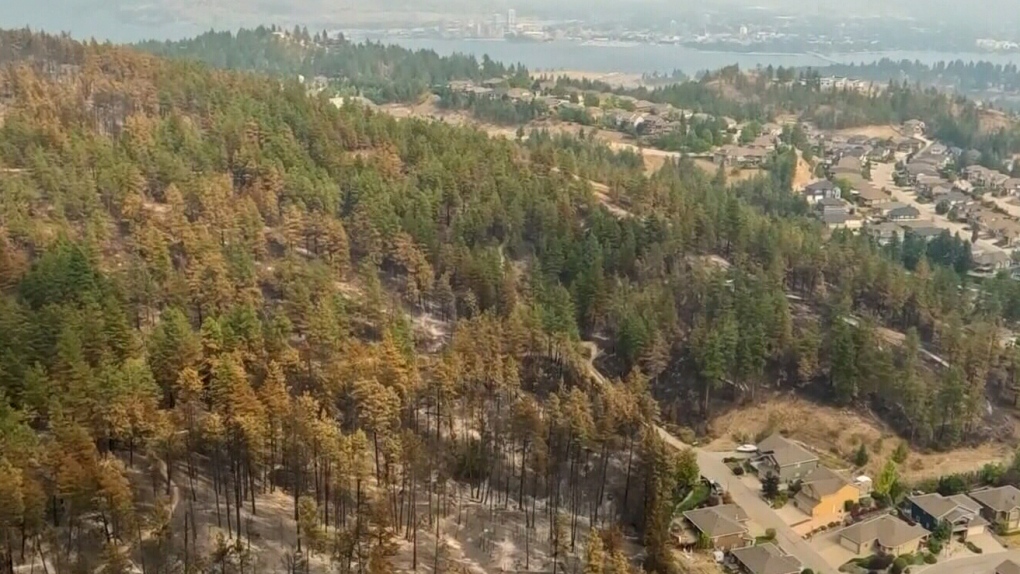 2 key fires in Okanagan under control 