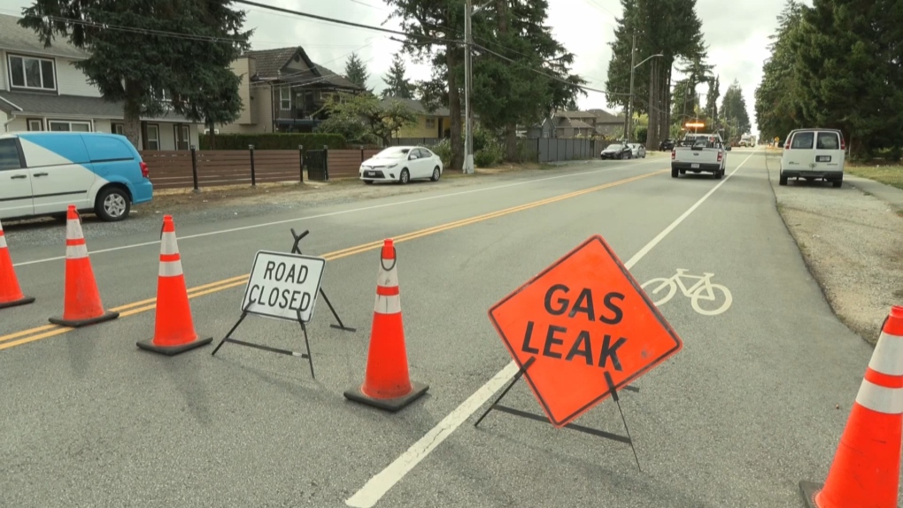 Surrey neighbourhood evacuated after car crashes into home