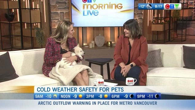 Cold Weather Safety For Pets