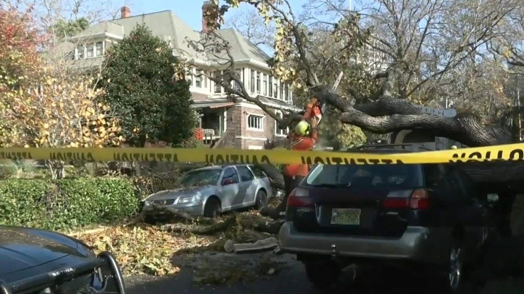 Aftermath of destructive B.C. storm 