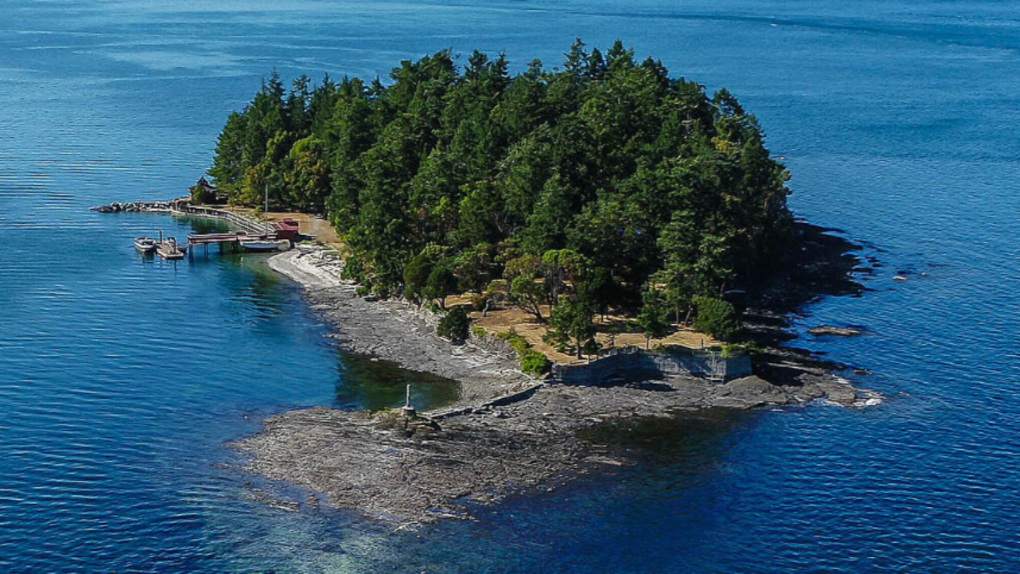 B.C. luxury real estate: Private island on market for $7M | CTV News