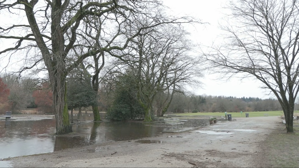 More mild weather ahead in January